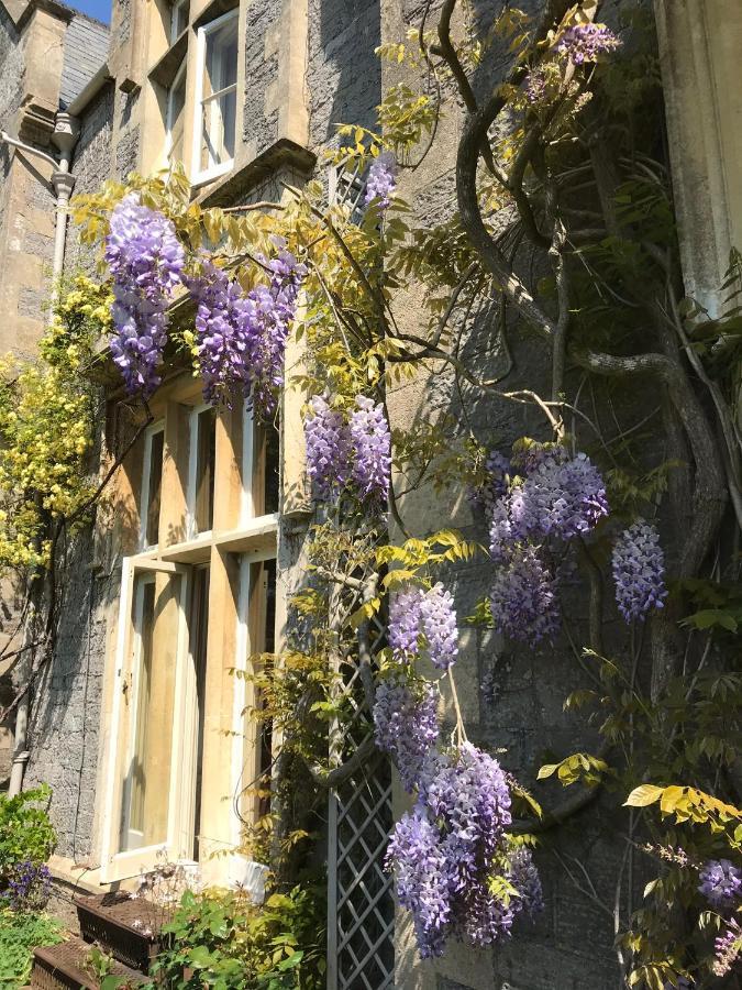 Beryl Country House Wells Dış mekan fotoğraf
